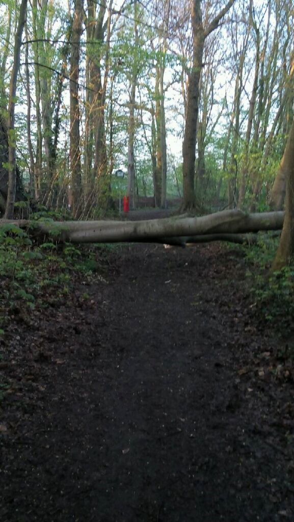 ERSCHLIESSUNG: WARUM EINE BAULAST ALLEIN FÜR EINE ZUFAHRT OFT NICHT REICHT